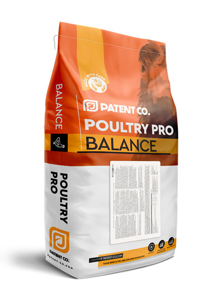 EGG PRO BOOSTER 1,25%