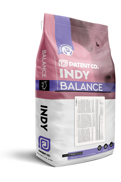 INDY STARTER 10%
