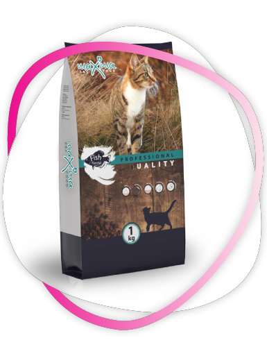 MAXIMA Adult Cat Fish