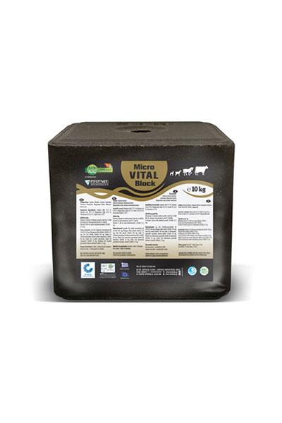 MICRO VITAL BLOCK