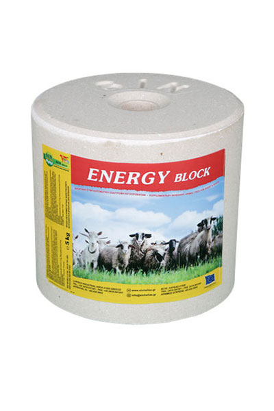 ENERGY BLOCK