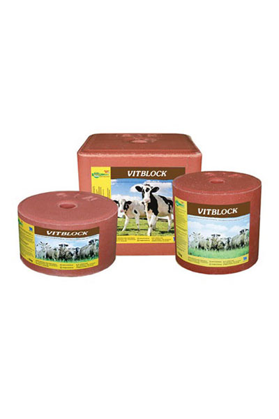 VITBLOCK