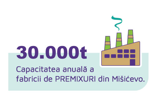 Misicevo